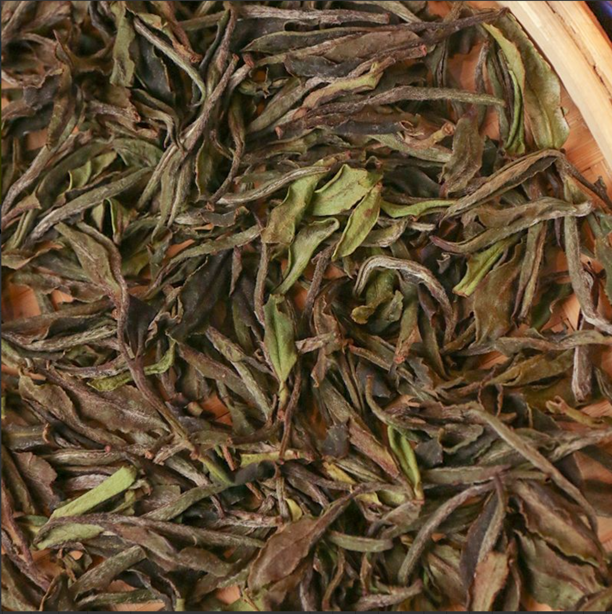 2025 Tungzhou Platinum • Organic Plum Blossom Peony King 50g